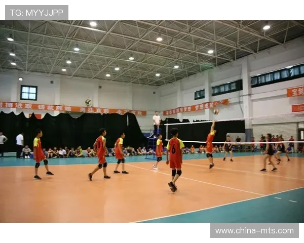 专访刘强：探寻排球背后的成功秘诀与发展之路